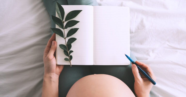 Pregnancy Journal | Capturing Motherhood Memories to Last a Lifetime