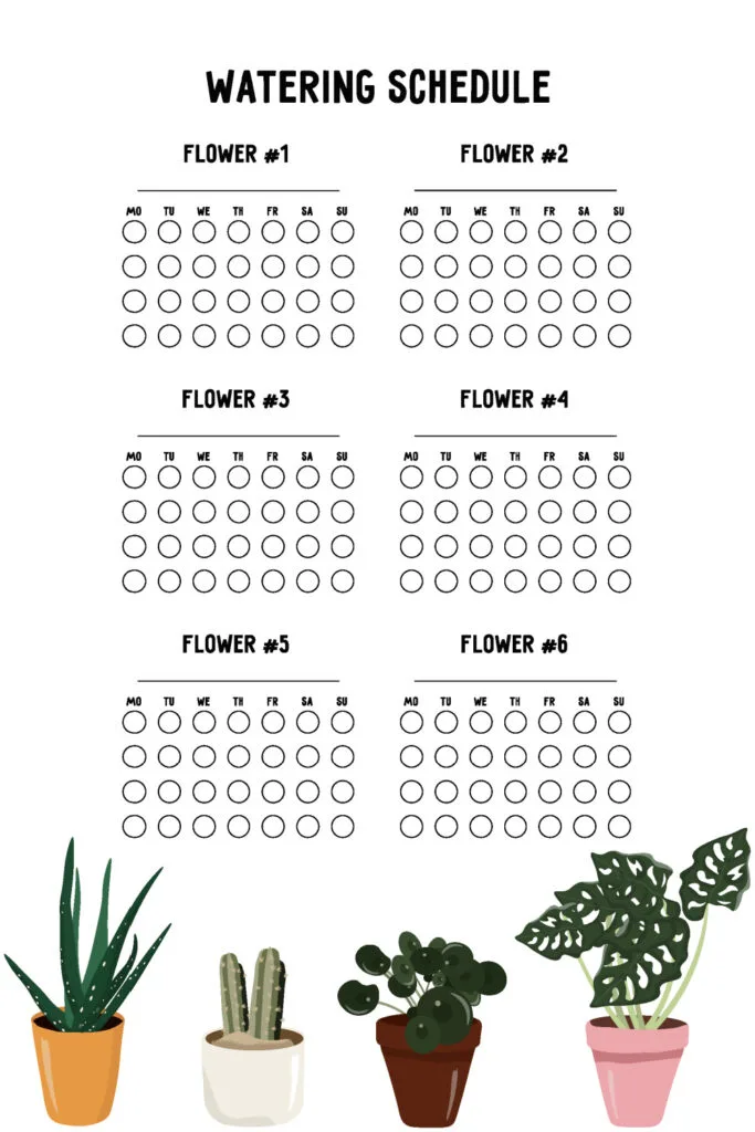 Plant Journal Ideas | Upgrade Your Experience AND Green Thumb!